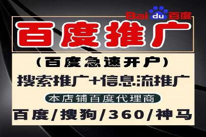 百度推广的成功案例：从零到一的突破